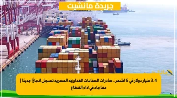 3.4 مليار دولار في 6 أشهر.. صادرات الصناعات الغذائية المصرية تسجل إنجازًا جديدًا مفاجأة في أداء القطاع 1